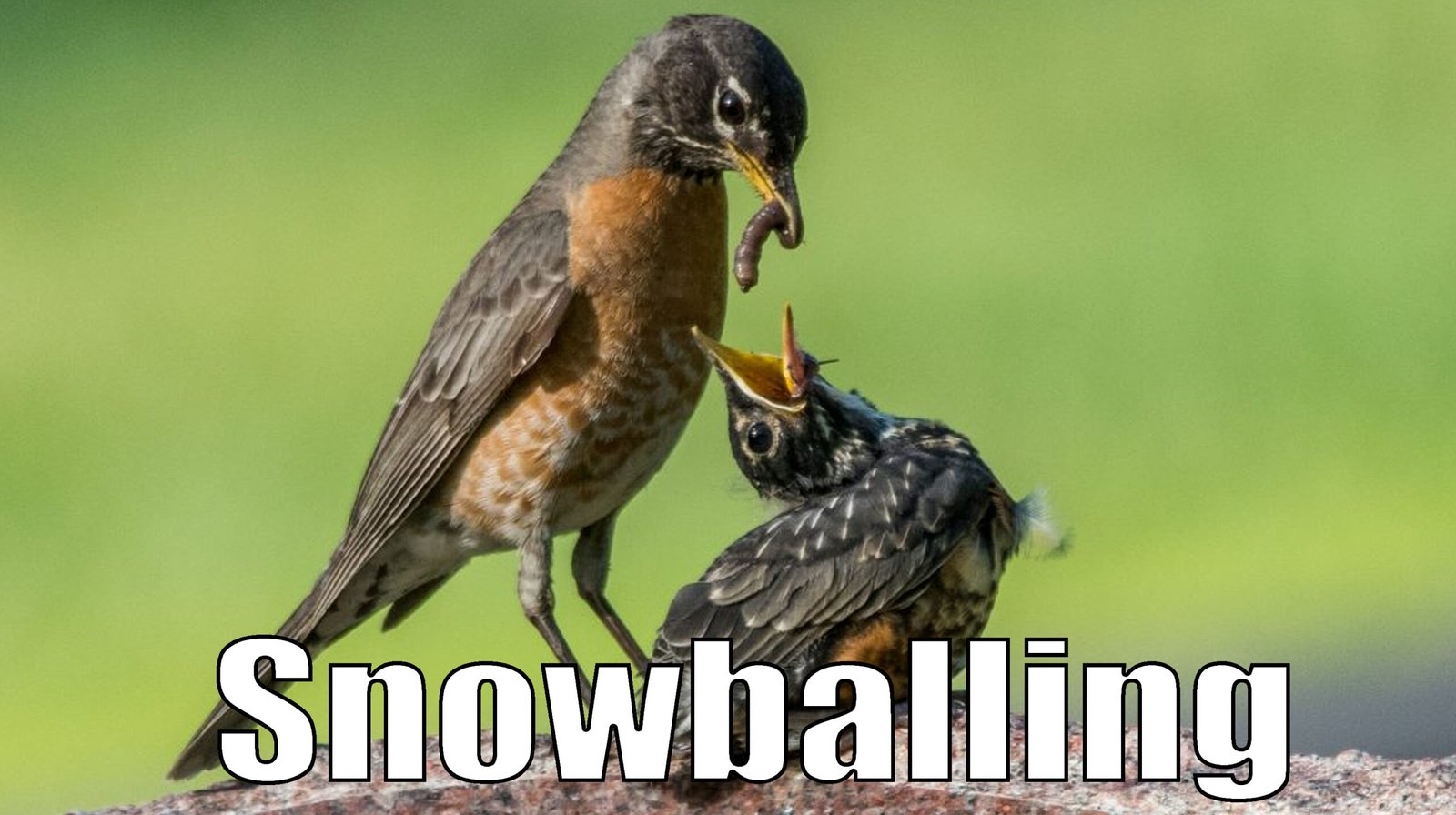 snowball-kiss-meaning